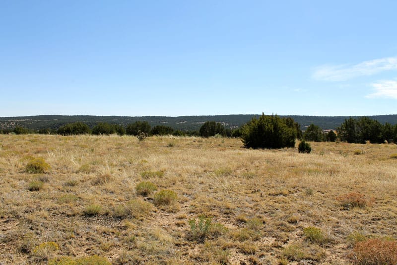 Black Diamond Park Tract 4 photo 6