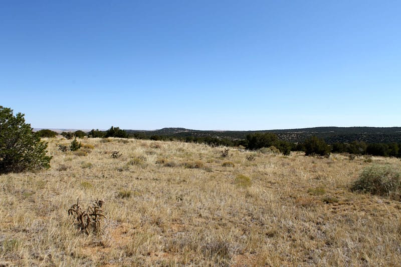 Black Diamond Park Tract 4 photo 7