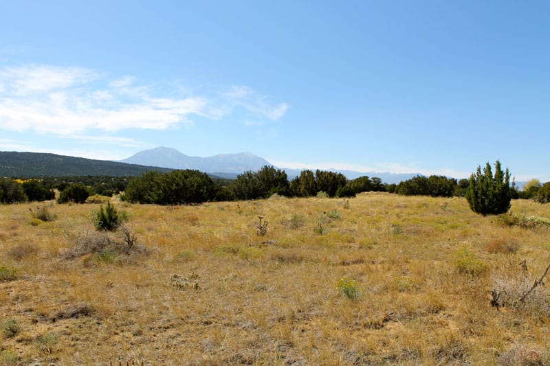 Black Diamond Park Tract 4 photo 8