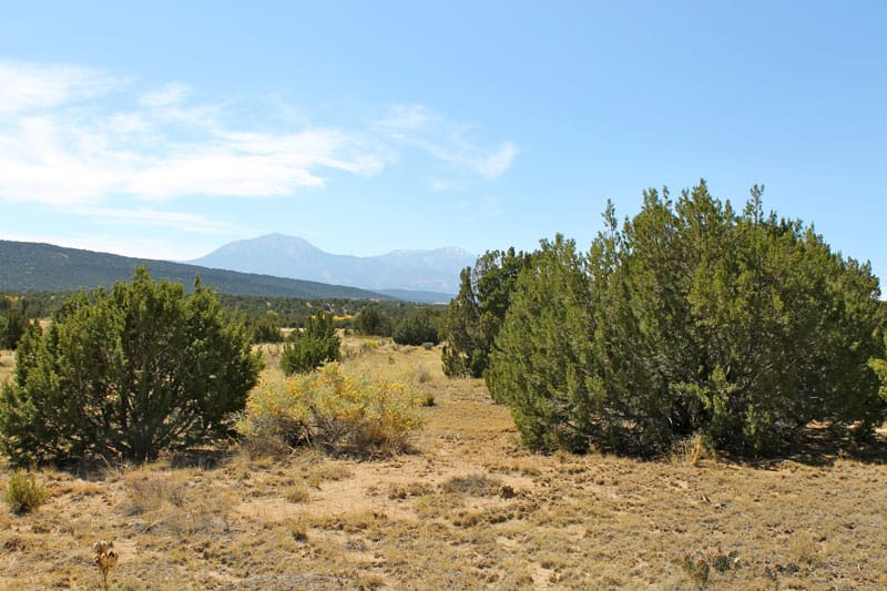 Black Diamond Park Tract 4 photo 9