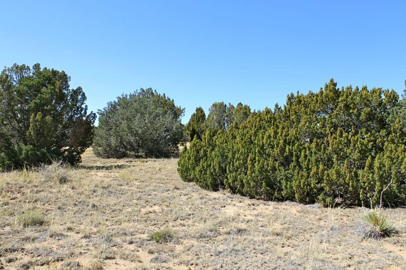Black Diamond Park Tract 4 photo 12