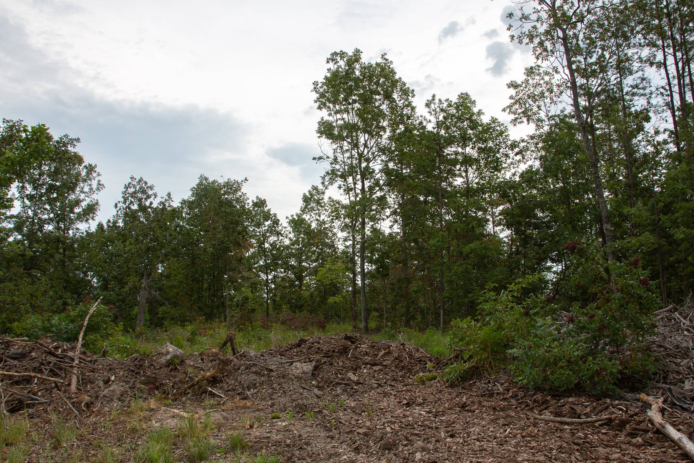 Borgmann’s Hollow Phase I Tract 29 photo 14