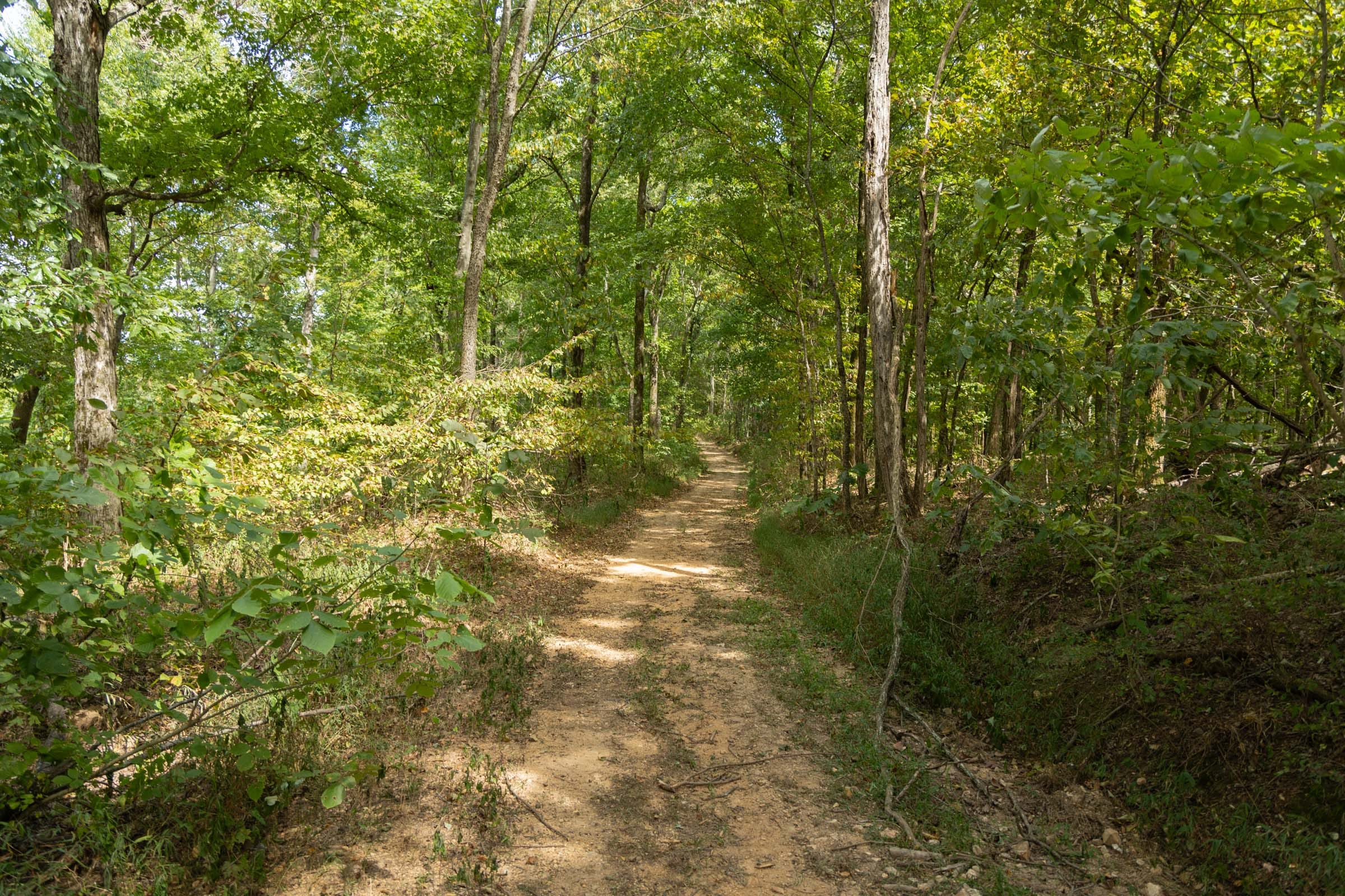 Big White Oak Tract 118 photo 1
