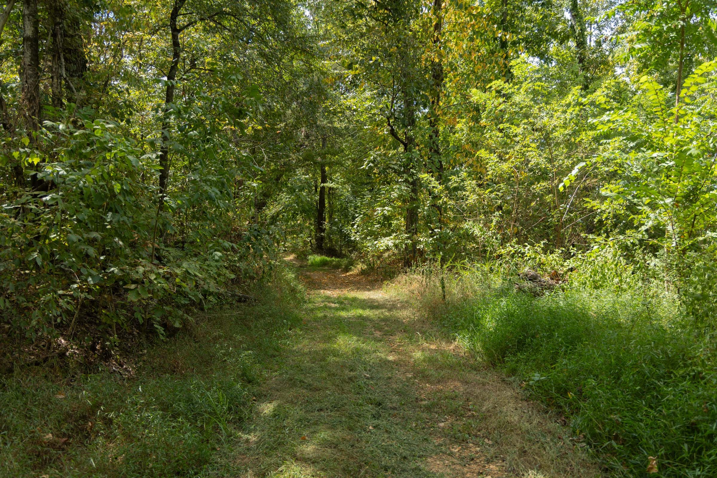Big White Oak Tract 118 photo 8
