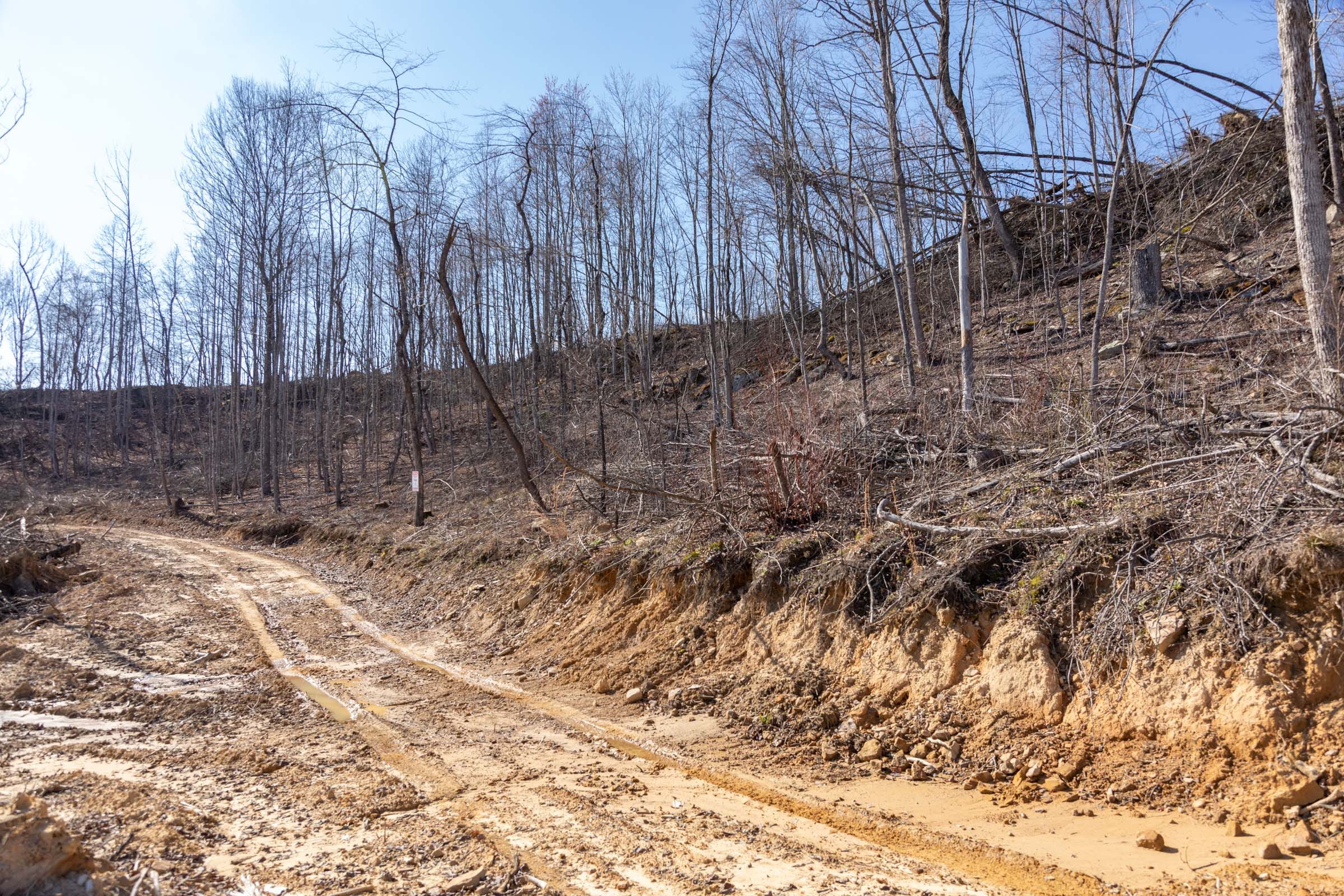 Creek Hollow Phase I Tract 8 photo 5