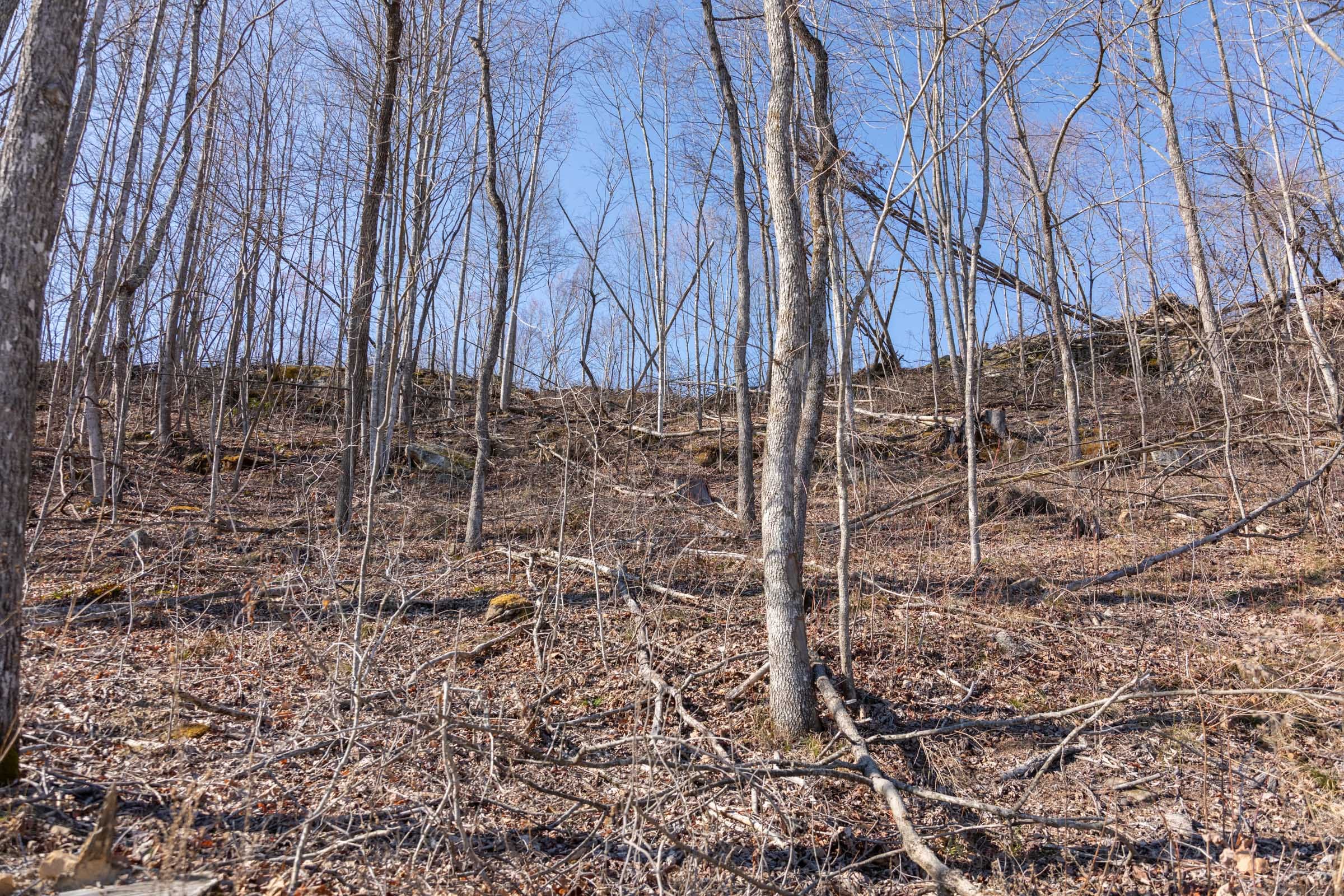 Creek Hollow Phase I Tract 8 photo 2
