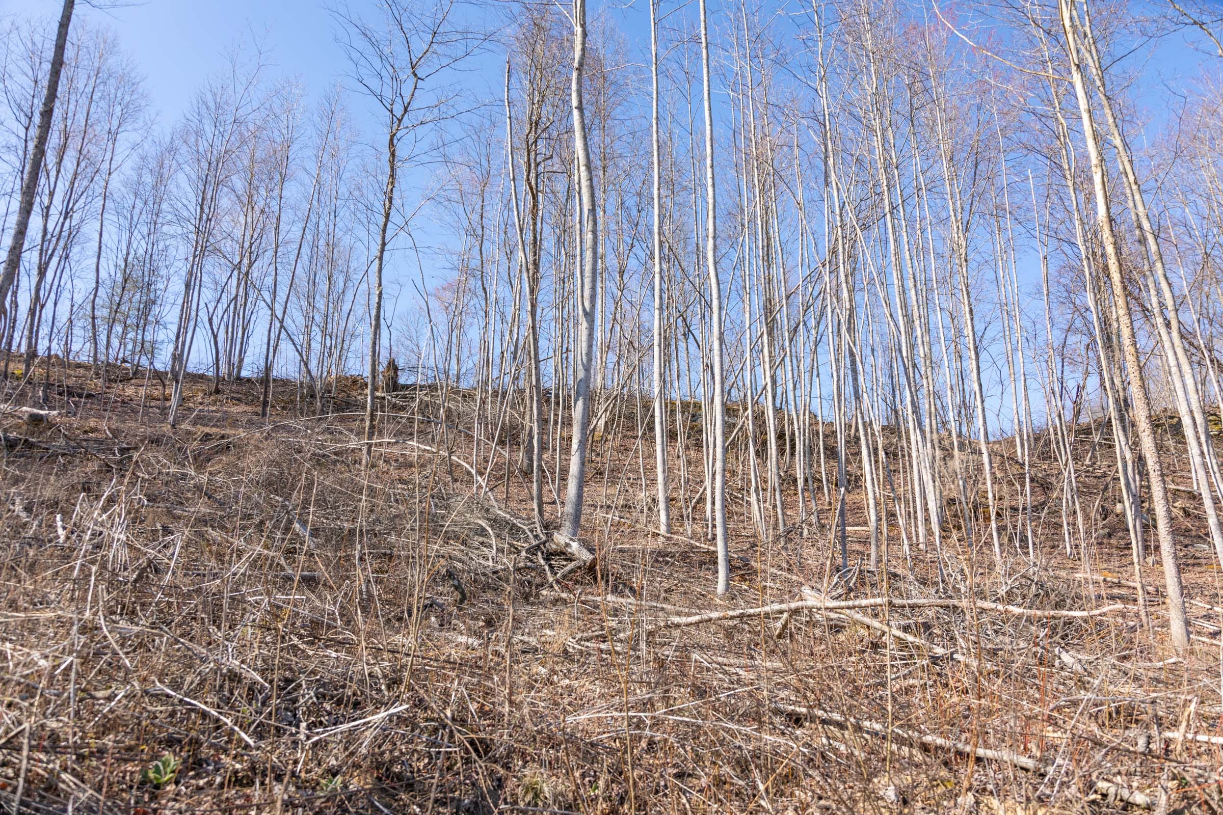 Creek Hollow Phase I Tract 8 photo 3