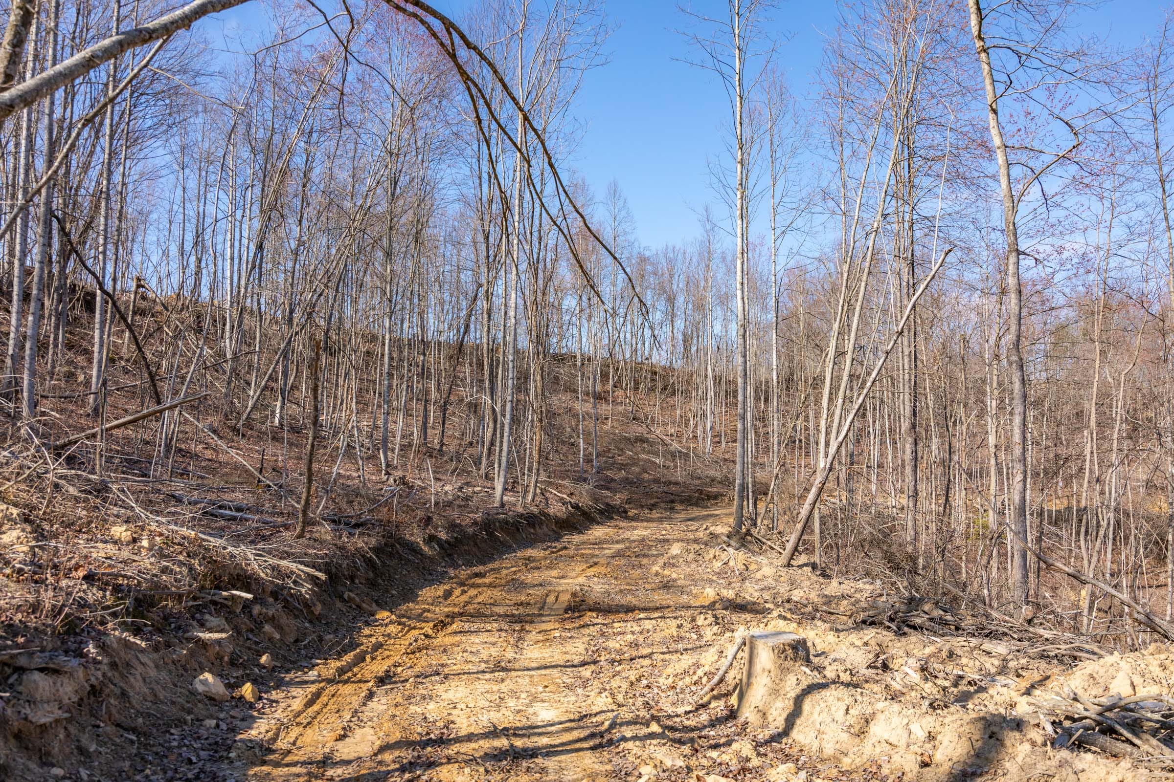 Creek Hollow Phase I Tract 8 photo 1