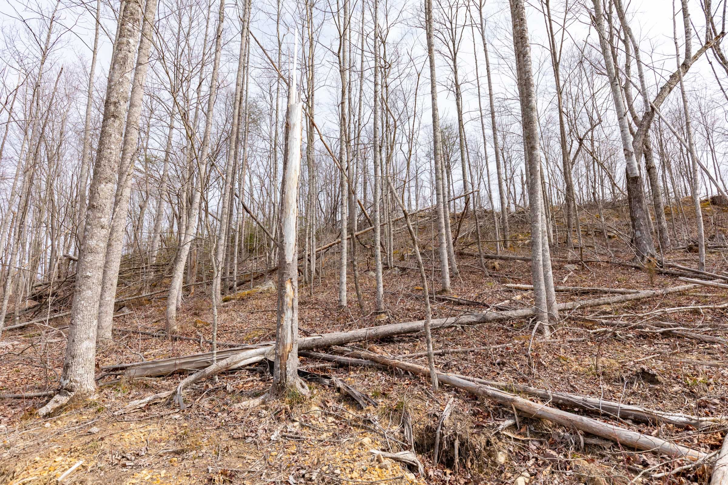 Creek Hollow Phase I Tract 8 photo 6