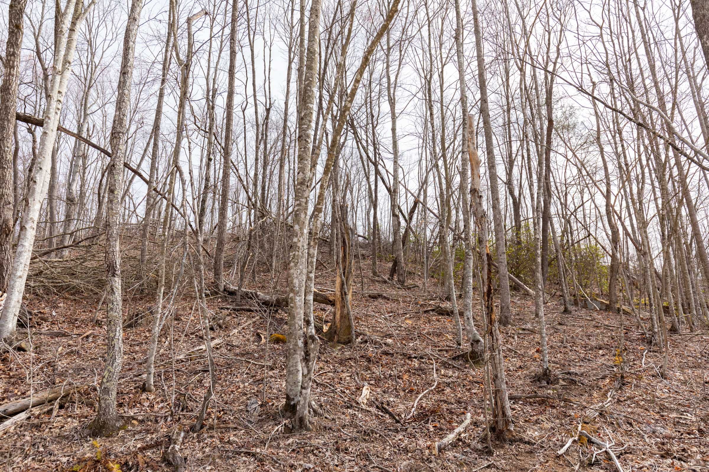Creek Hollow Phase I Tract 8 photo 7