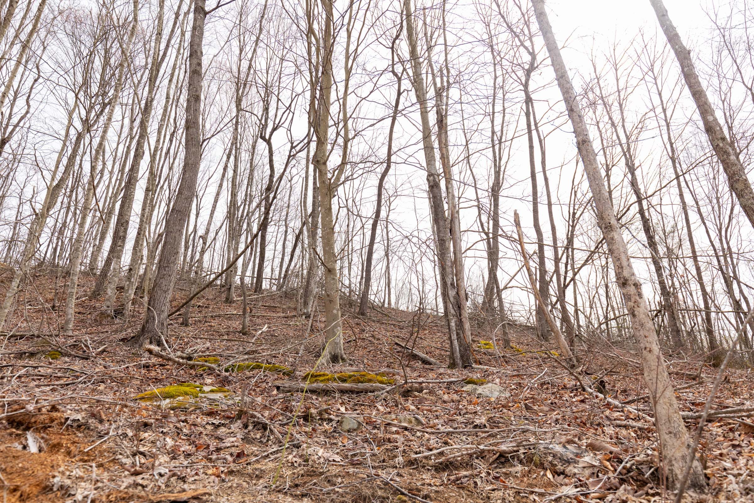 Creek Hollow Phase I Tract 8 photo 8