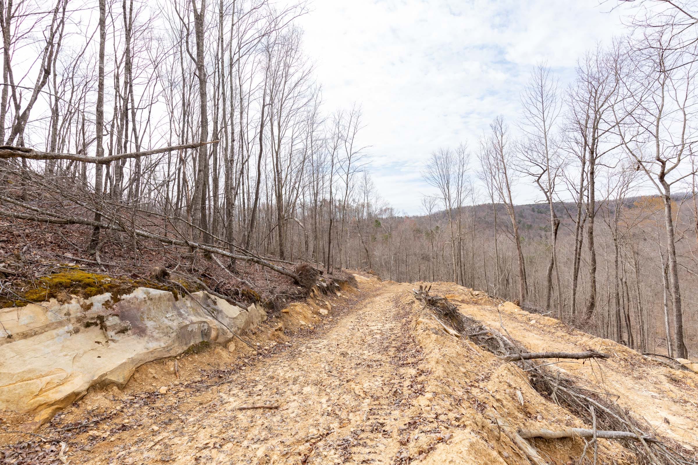 Creek Hollow Phase I Tract 8 photo 9