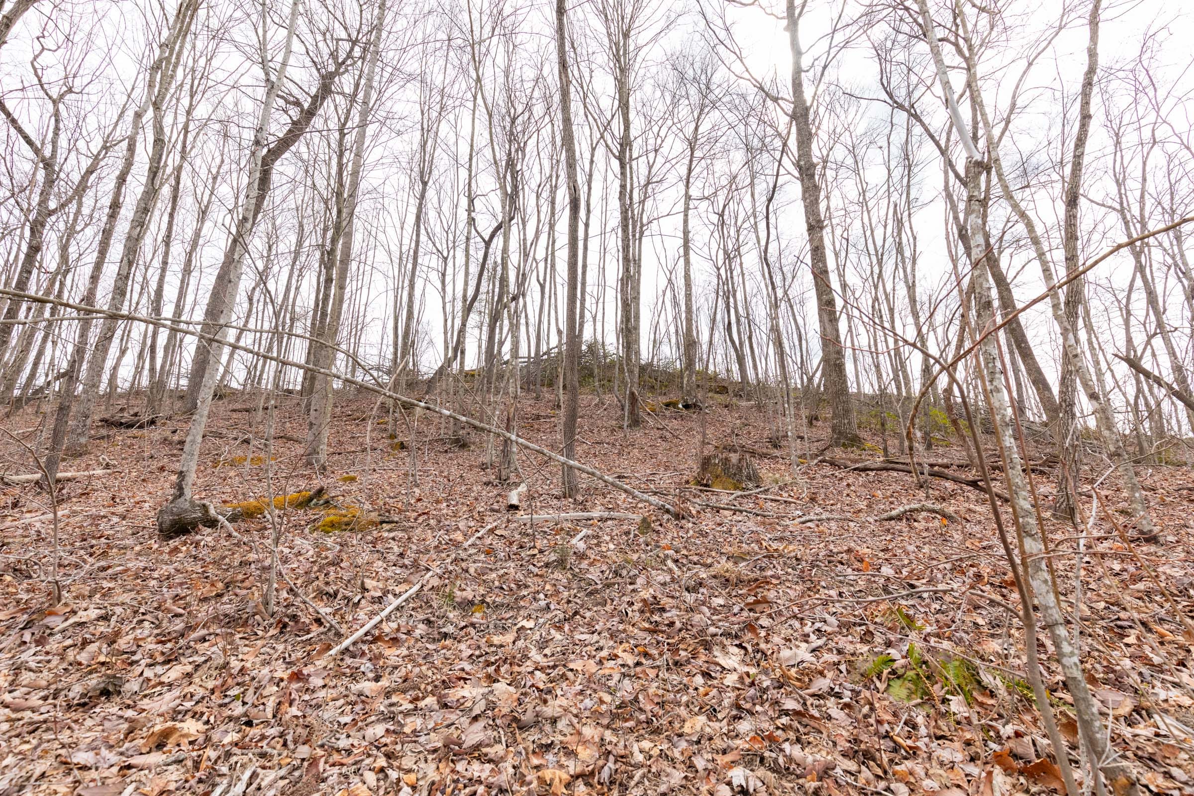 Creek Hollow Phase I Tract 8 photo 10