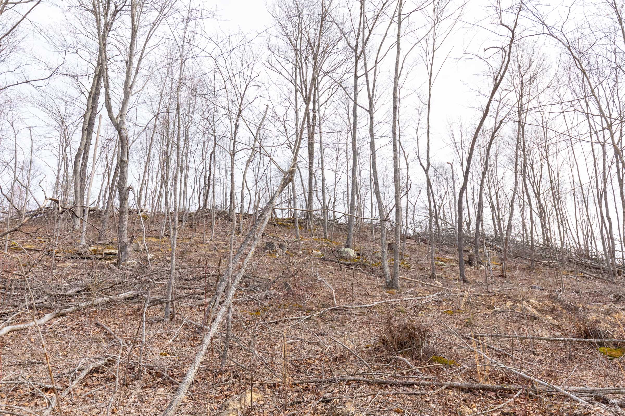 Creek Hollow Phase I Tract 8 photo 11