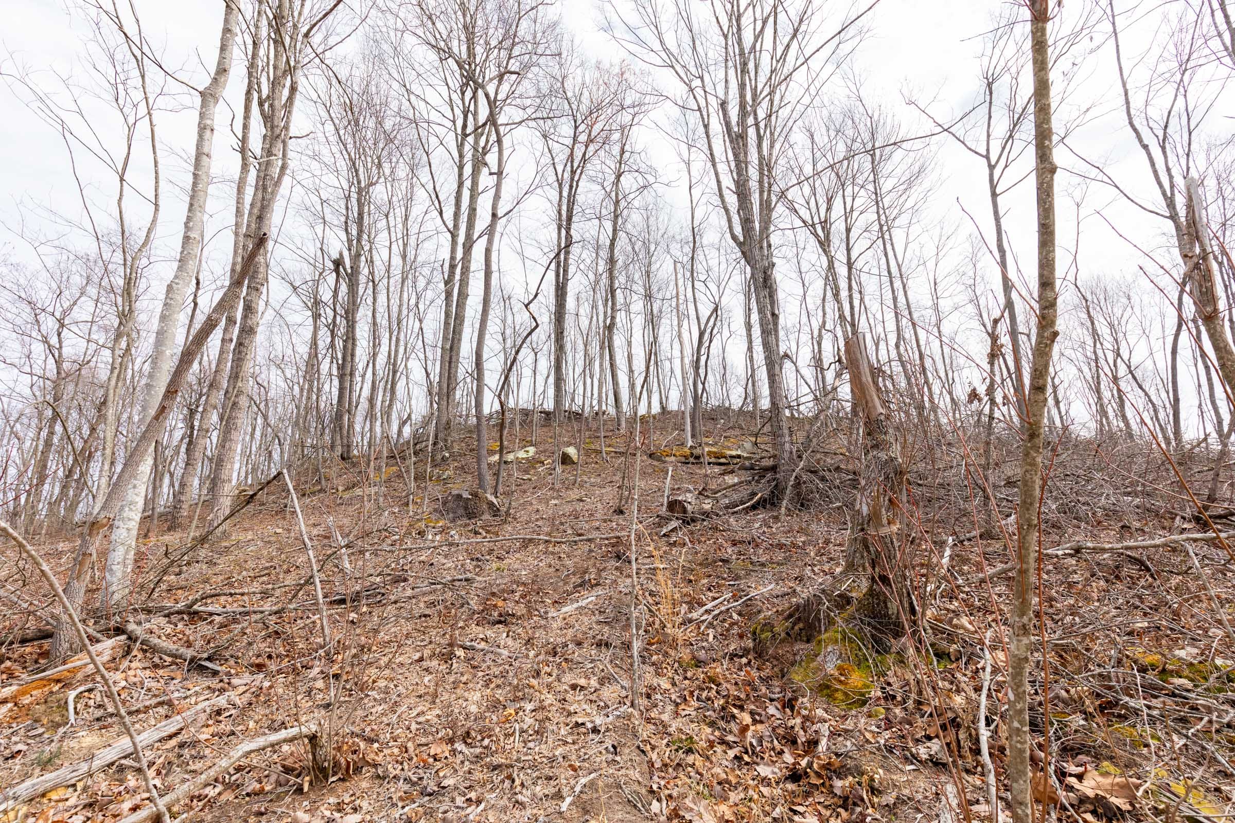 Creek Hollow Phase I Tract 8 photo 12