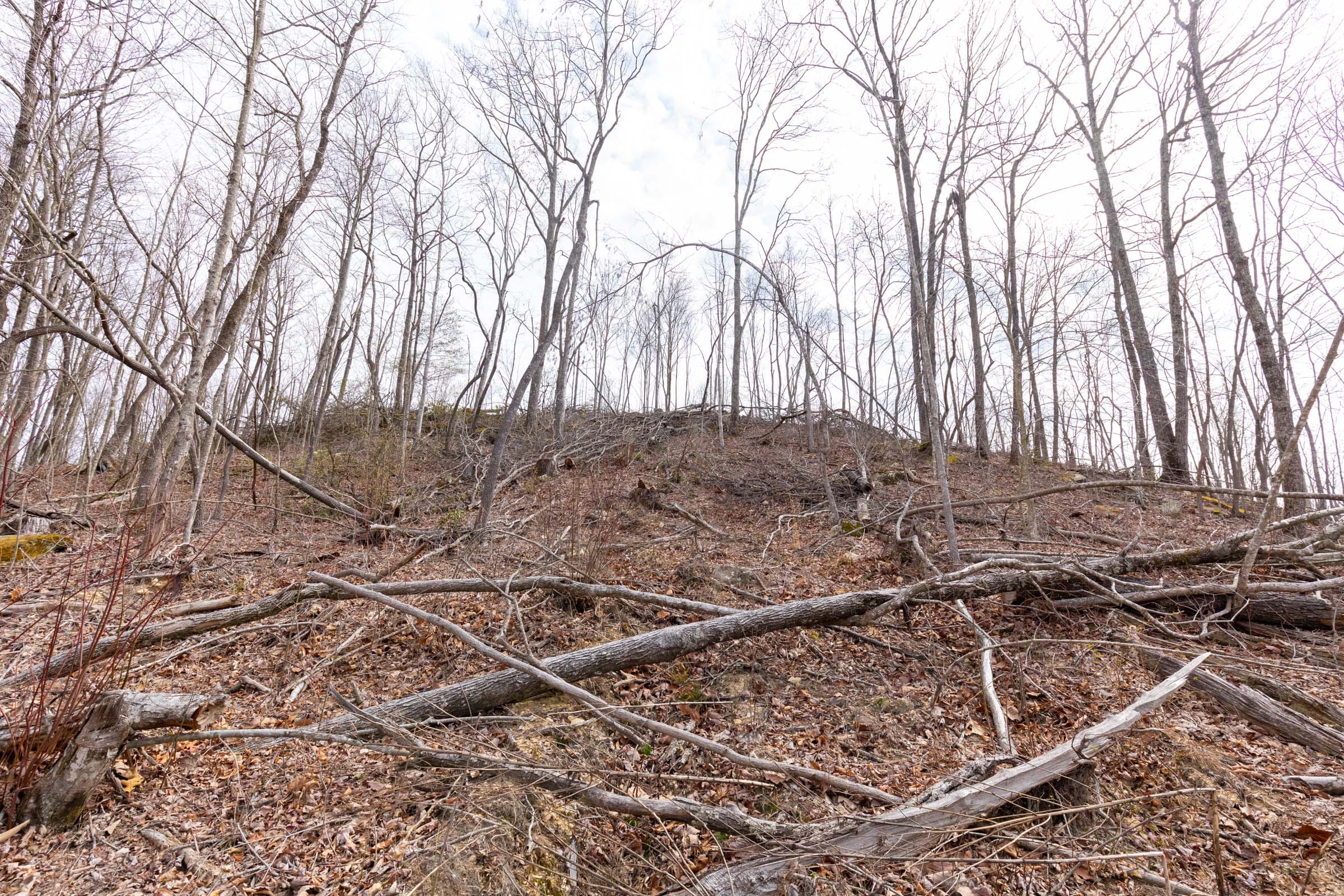 Creek Hollow Phase I Tract 8 photo 14