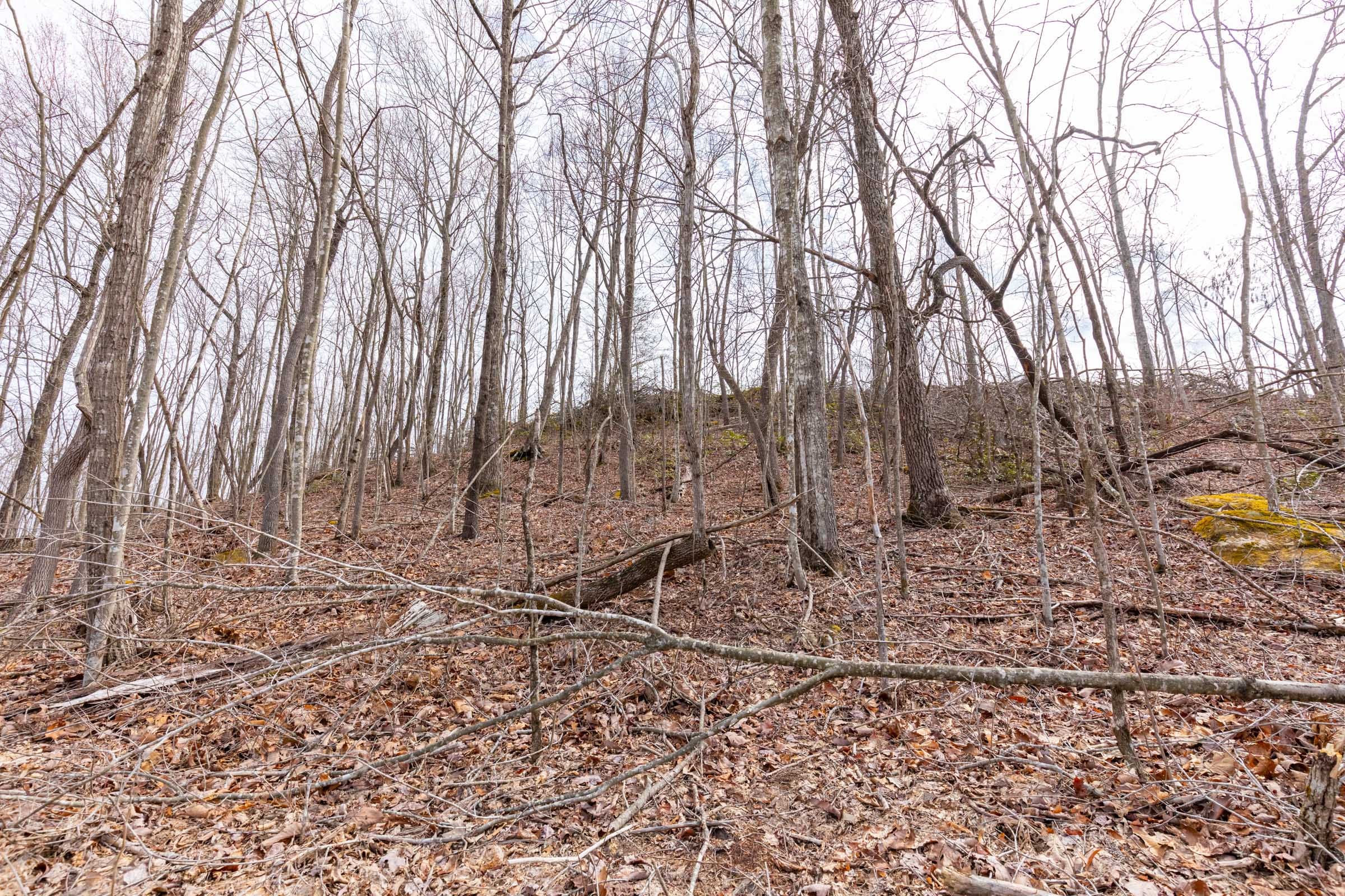 Creek Hollow Phase I Tract 8 photo 15