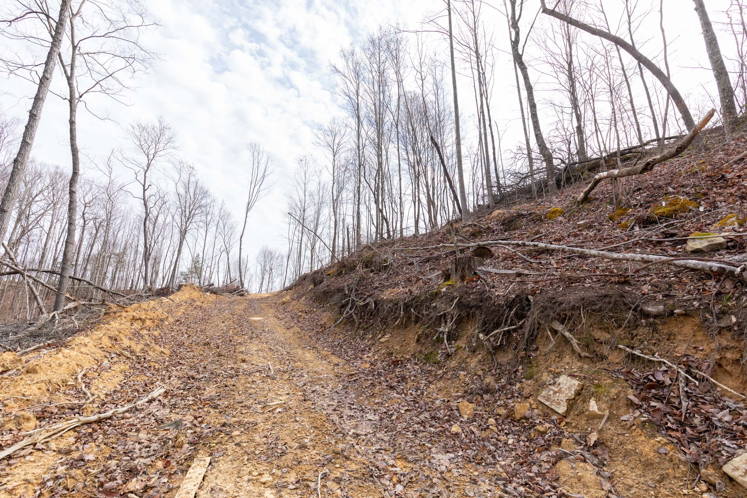 Creek Hollow Phase I Tract 8 photo 13