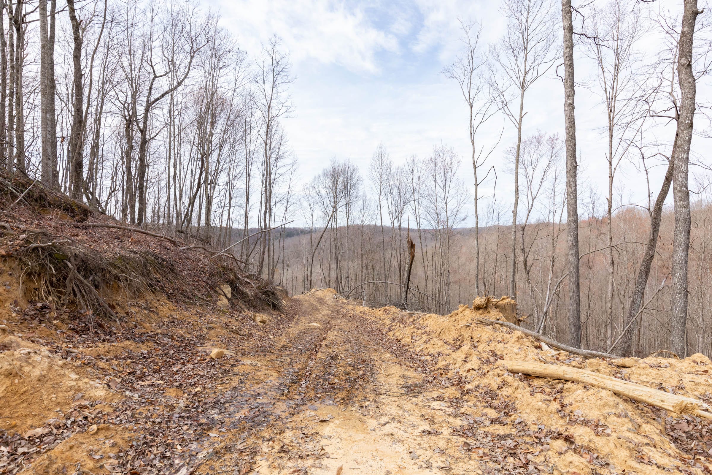 Creek Hollow Phase I Tract 8 photo 17