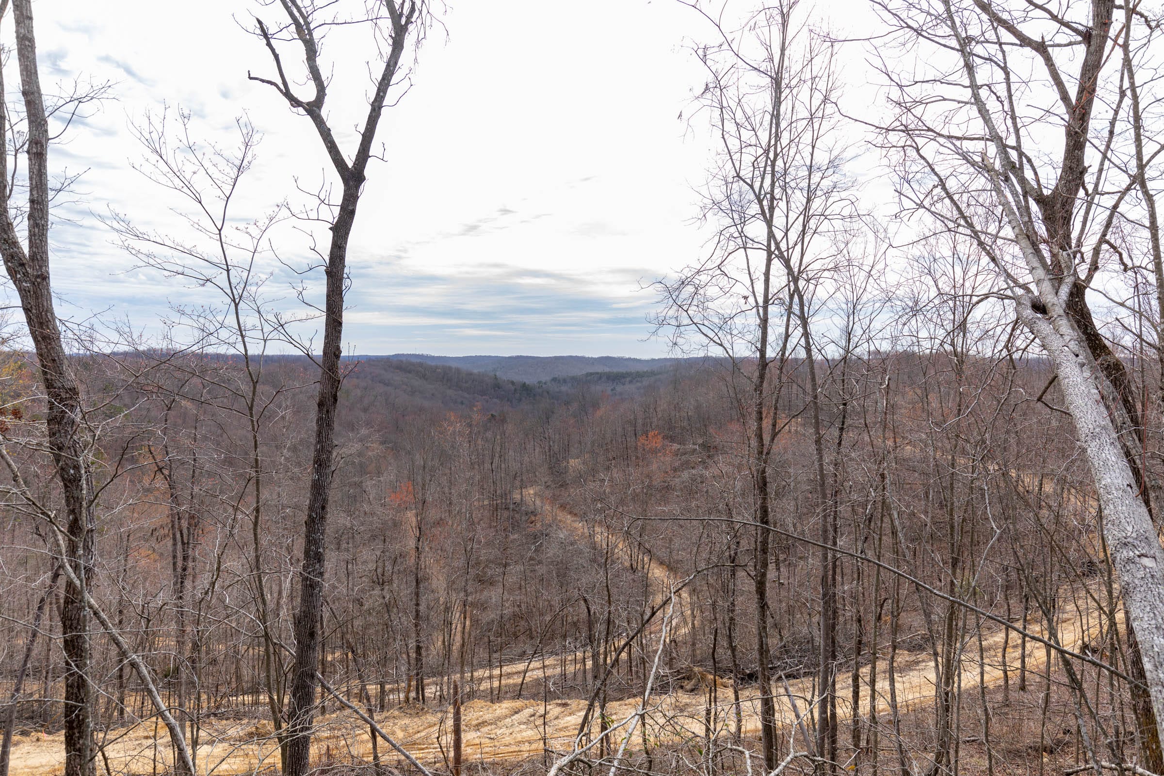 Creek Hollow Phase I Tract 8 photo 18