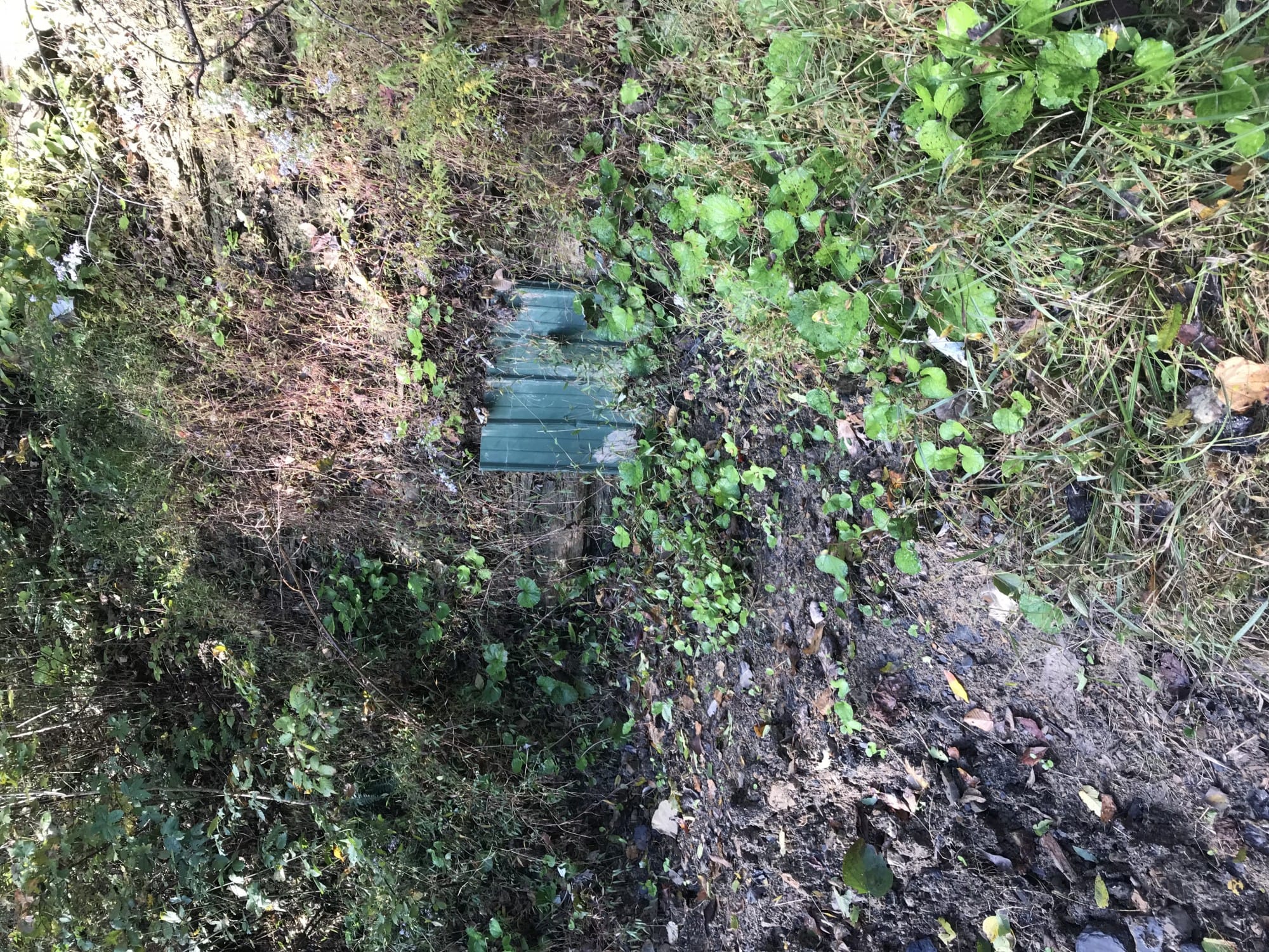 Autumn Ridge Tract 15 photo 25