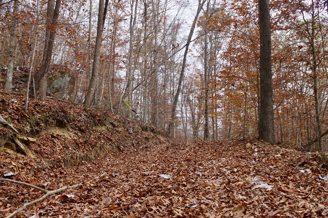 Autumn Ridge Tract 15 photo 1