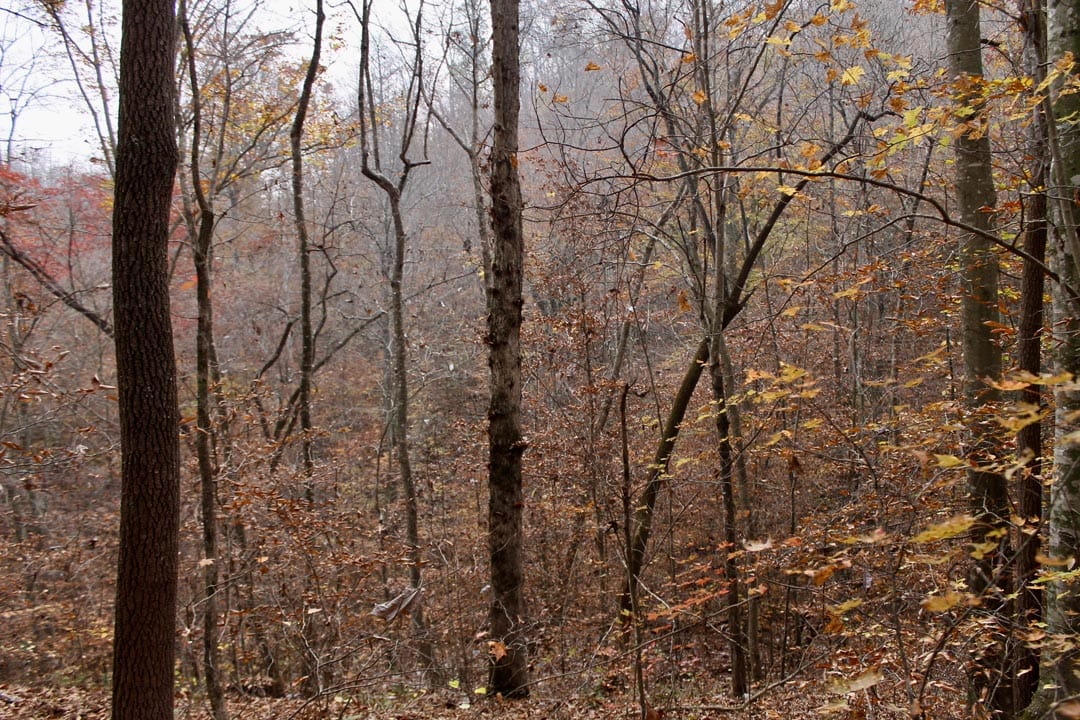 Autumn Ridge Tract 15 photo 6