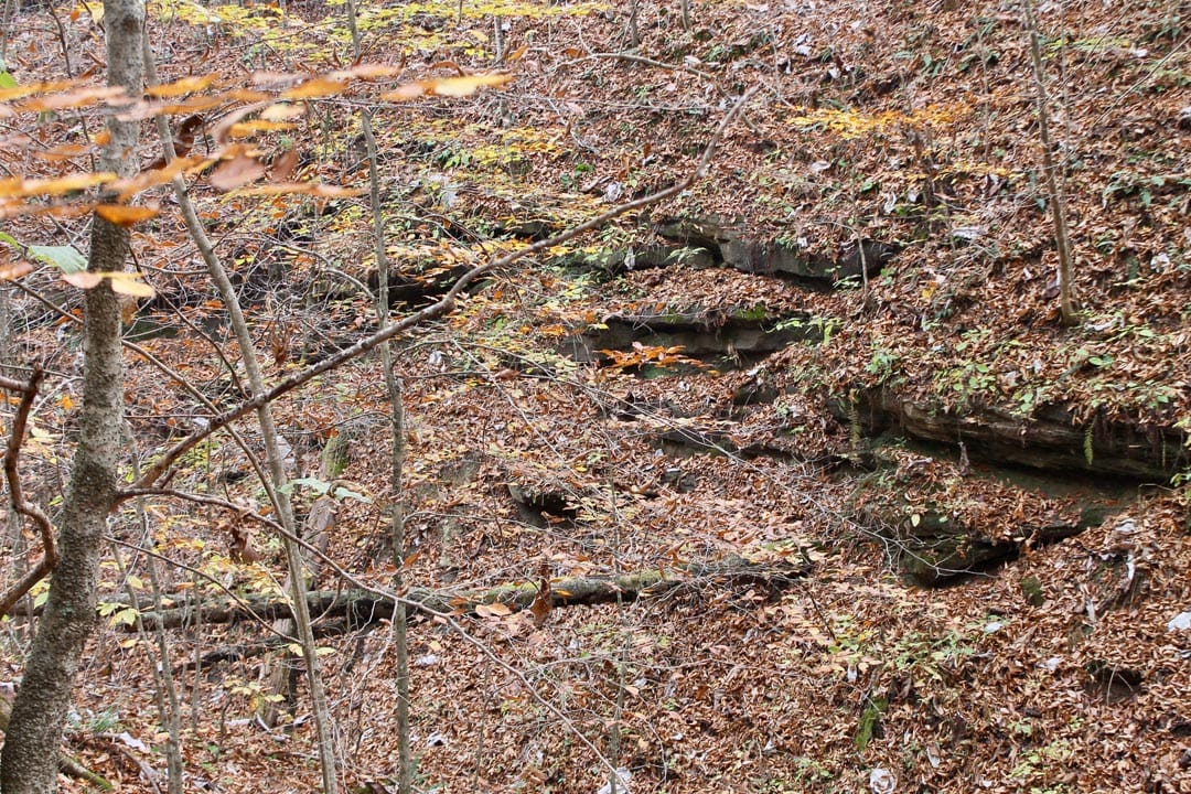 Autumn Ridge Tract 15 photo 10