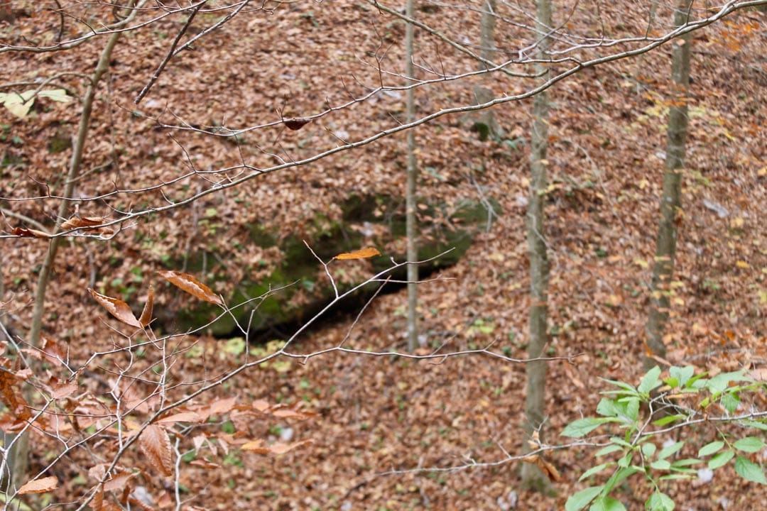 Autumn Ridge Tract 15 photo 12