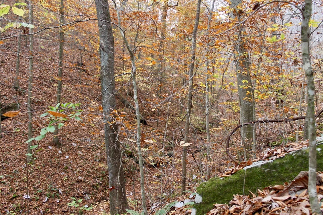 Autumn Ridge Tract 15 photo 14