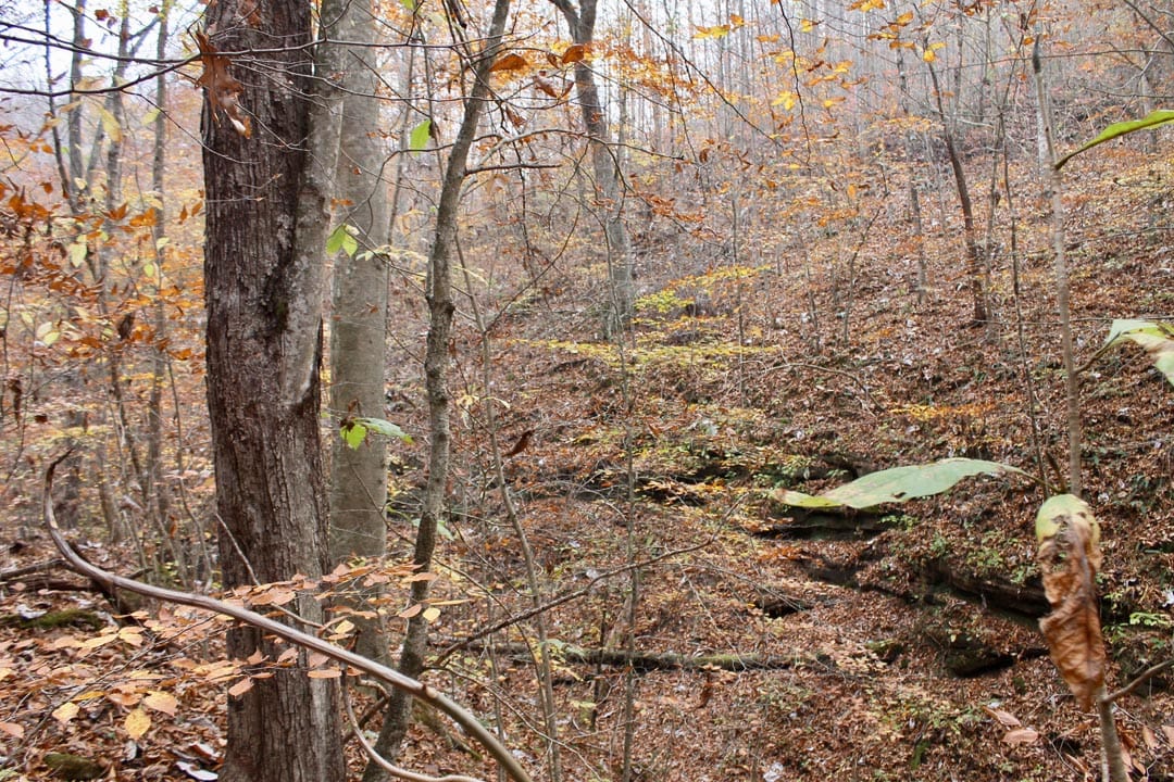 Autumn Ridge Tract 15 photo 18