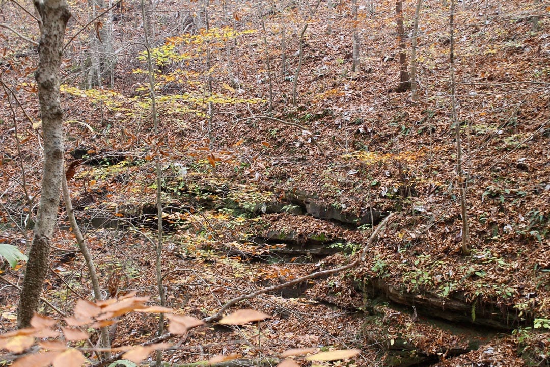 Autumn Ridge Tract 15 photo 19