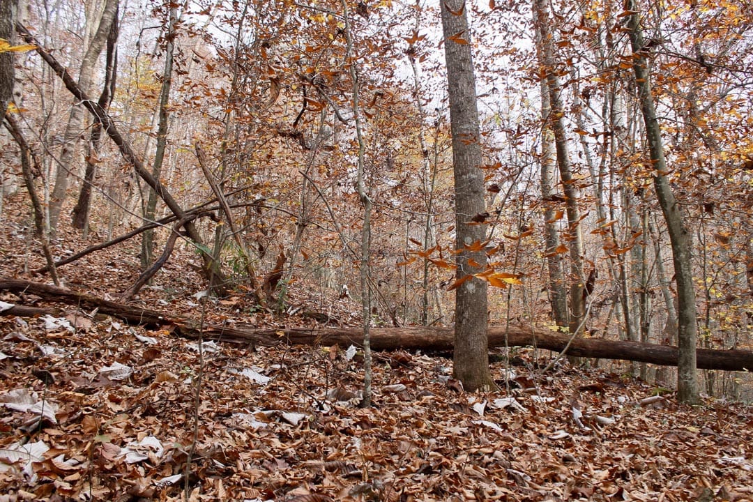 Autumn Ridge Tract 15 photo 20