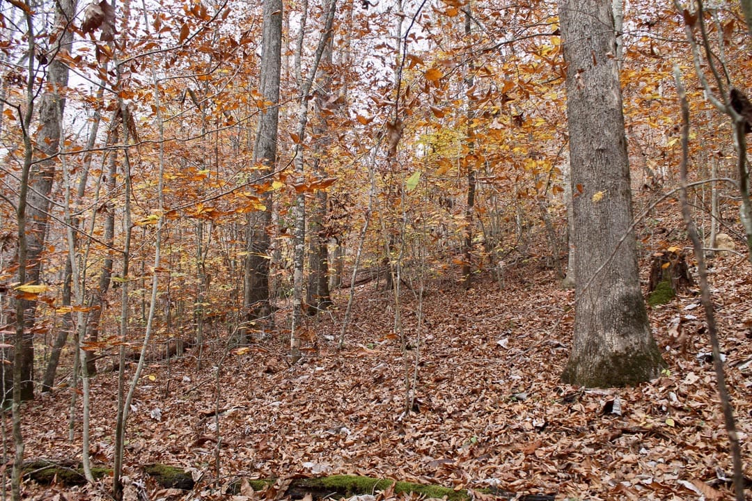 Autumn Ridge Tract 15 photo 22
