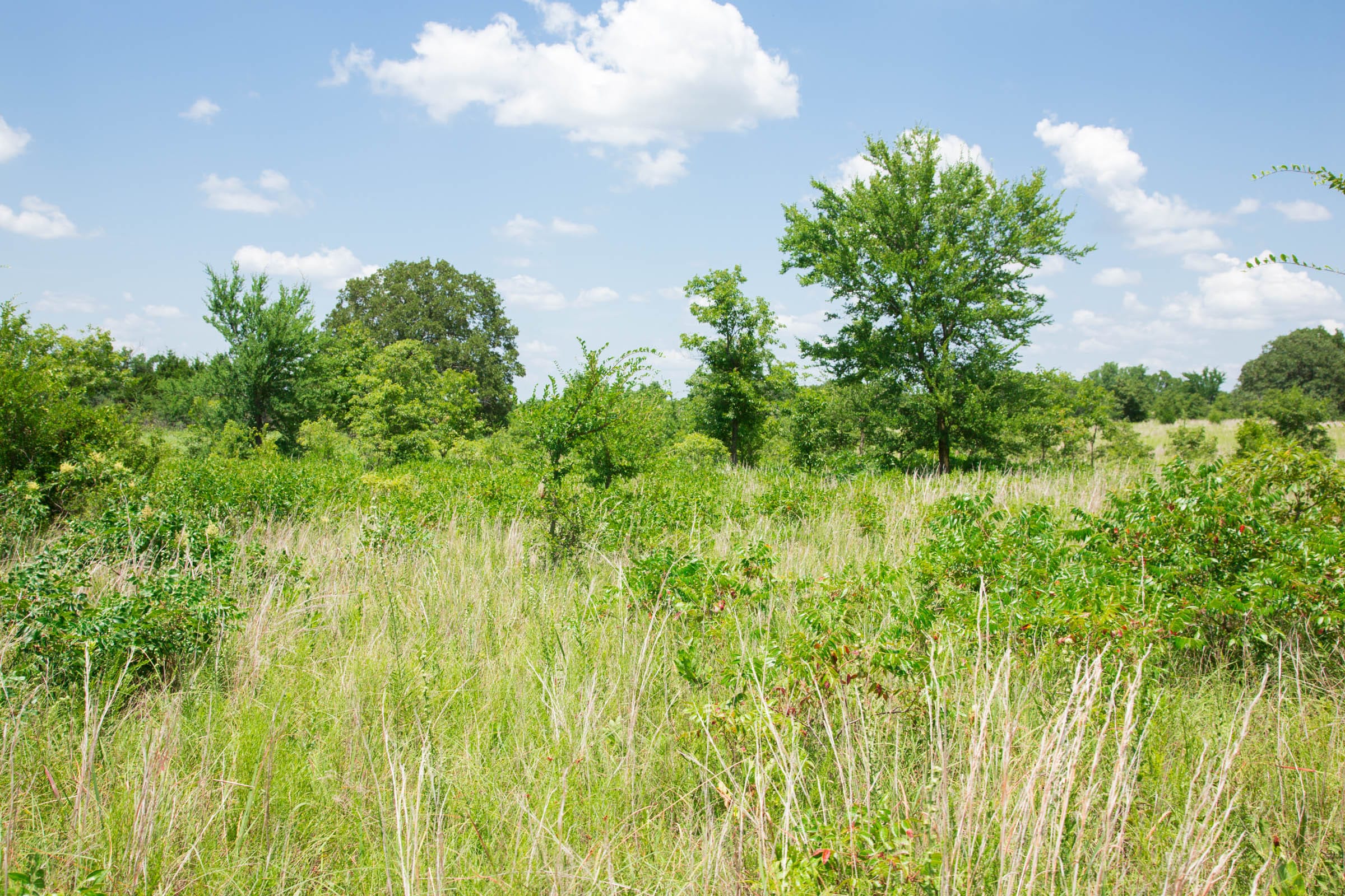 Deep Fork Ranch Tract 25 photo 2