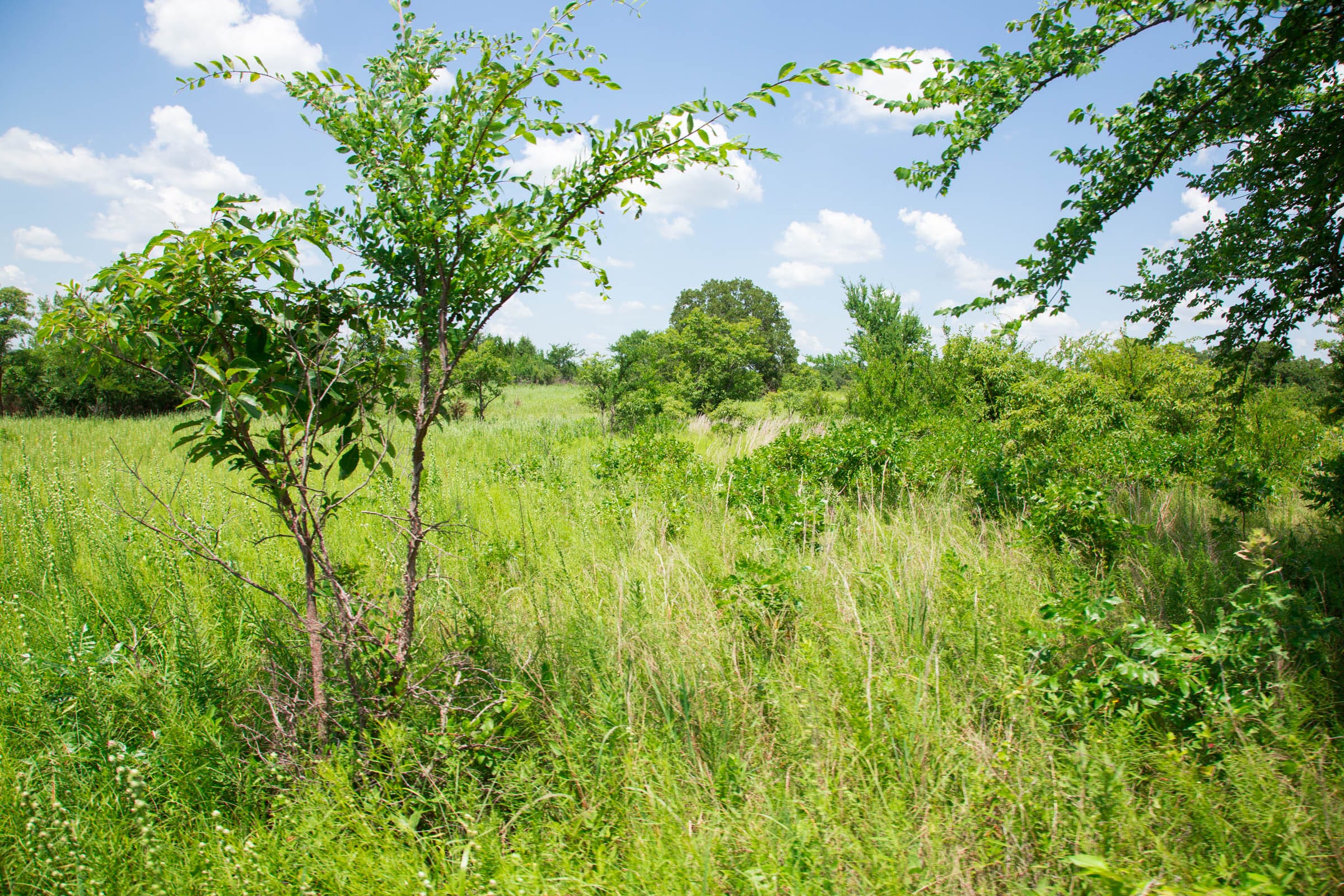 Deep Fork Ranch Tract 25 photo 3