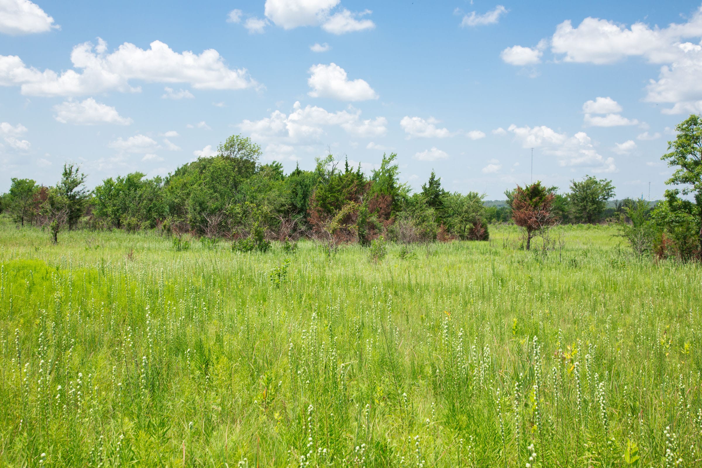 Deep Fork Ranch Tract 25 photo 4