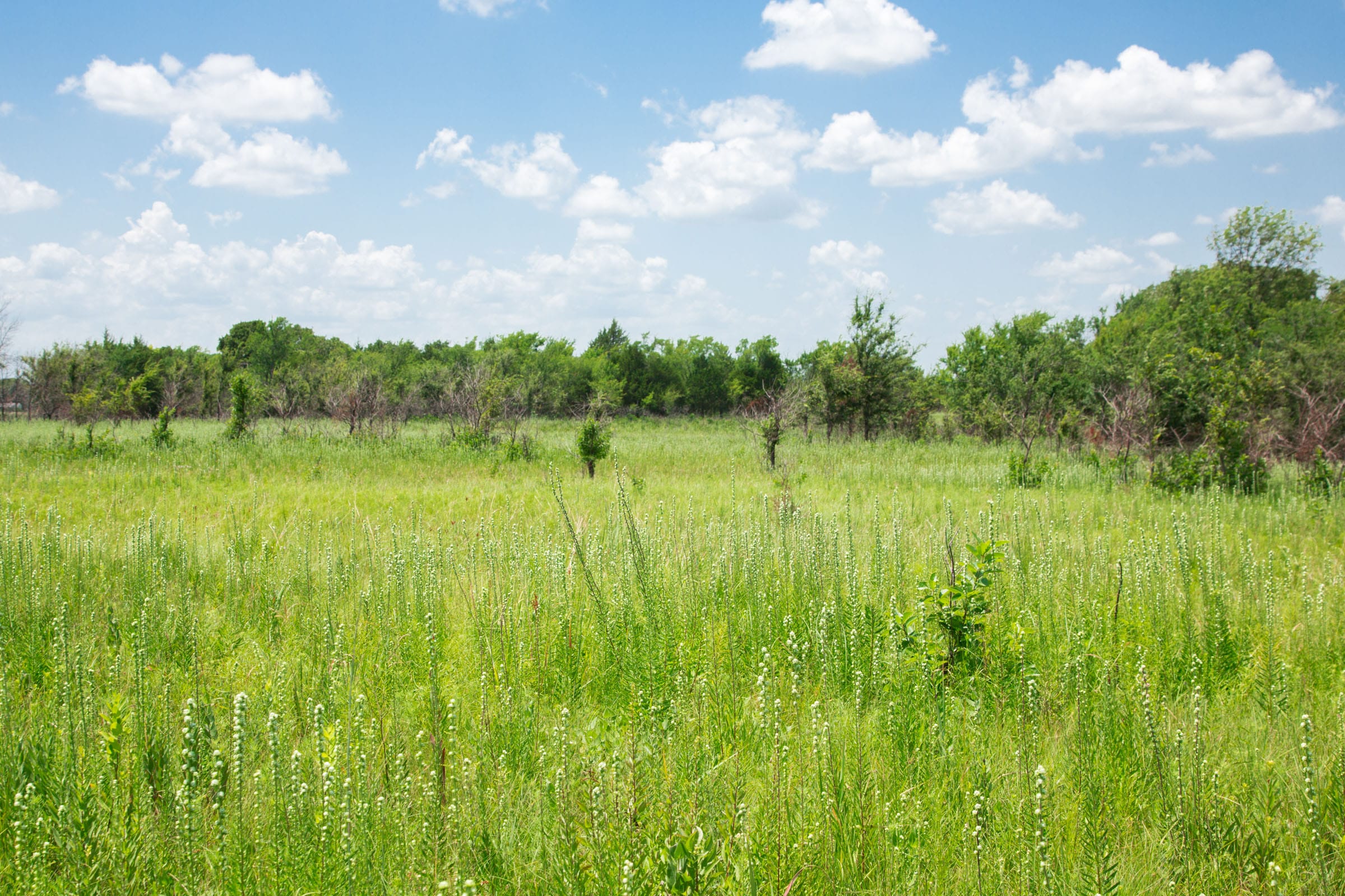 Deep Fork Ranch Tract 25 photo 5