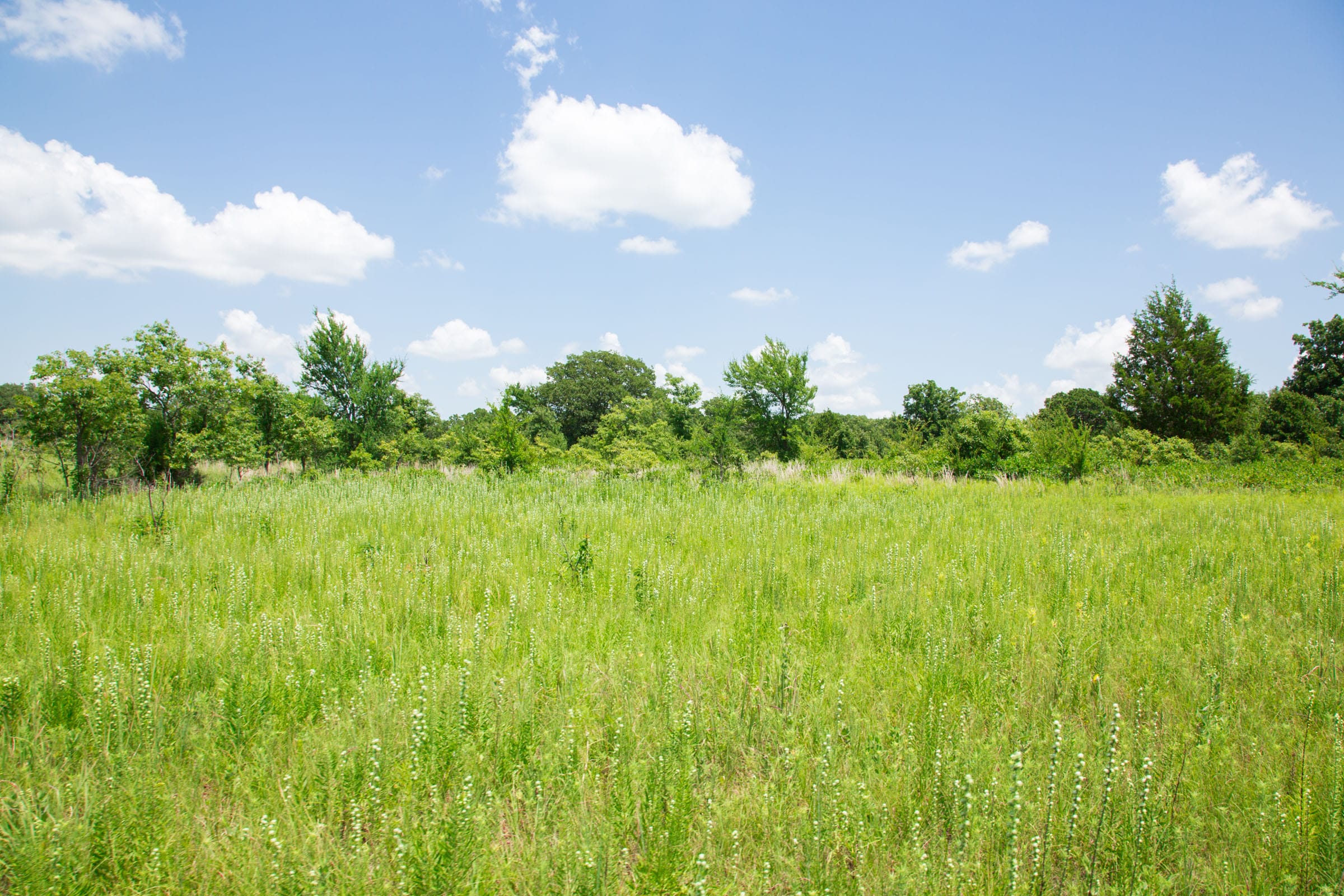Deep Fork Ranch Tract 25 photo 6