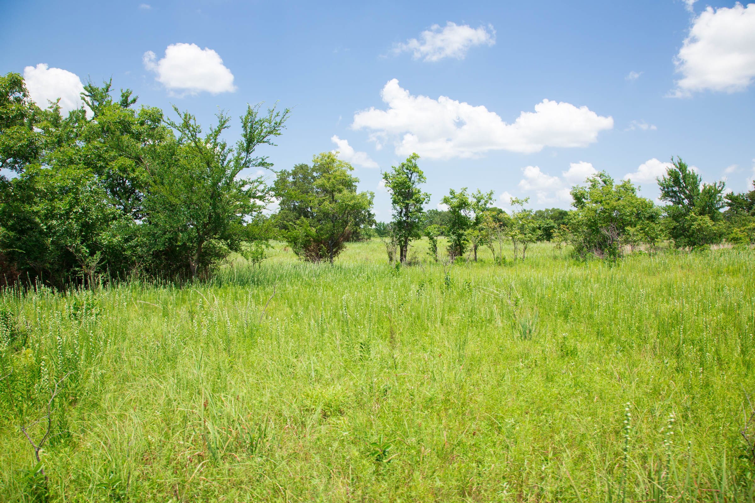 Deep Fork Ranch Tract 25 photo 7