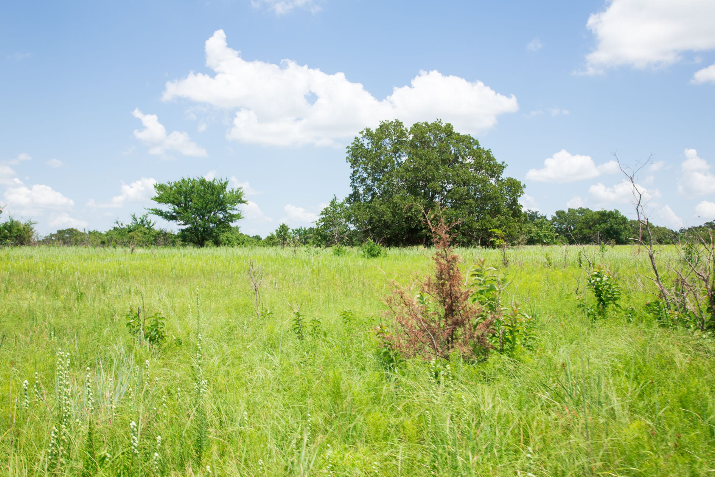 Deep Fork Ranch Tract 25 photo 11