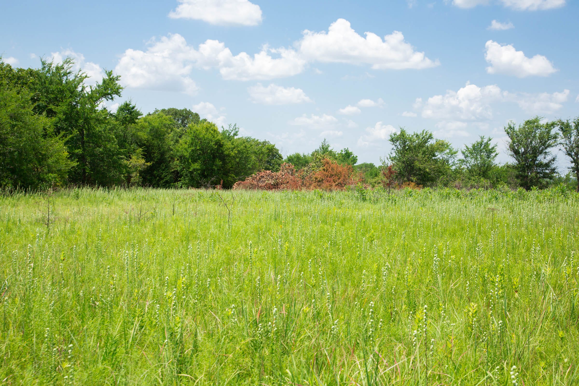 Deep Fork Ranch Tract 25 photo 12