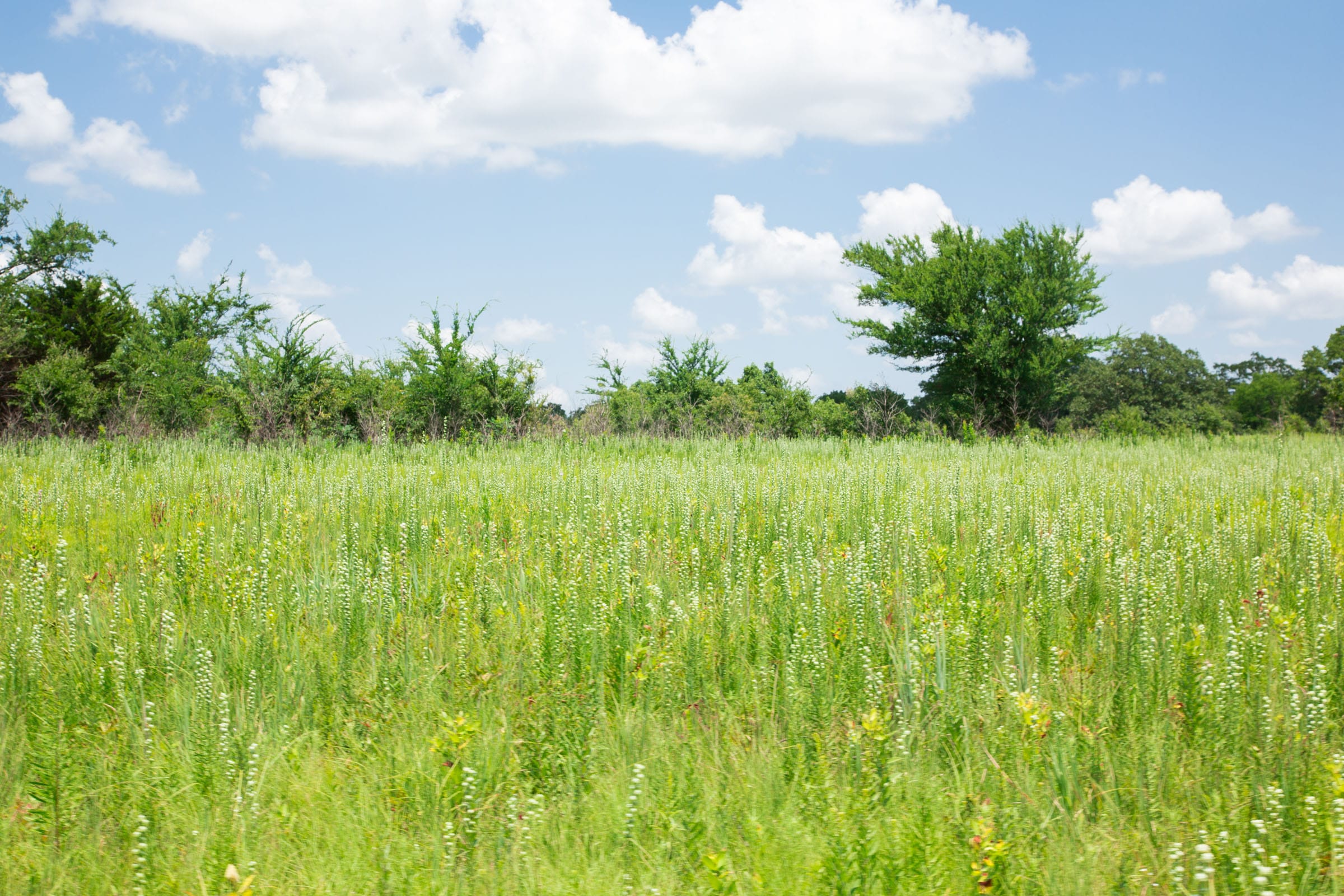 Deep Fork Ranch Tract 25 photo 14