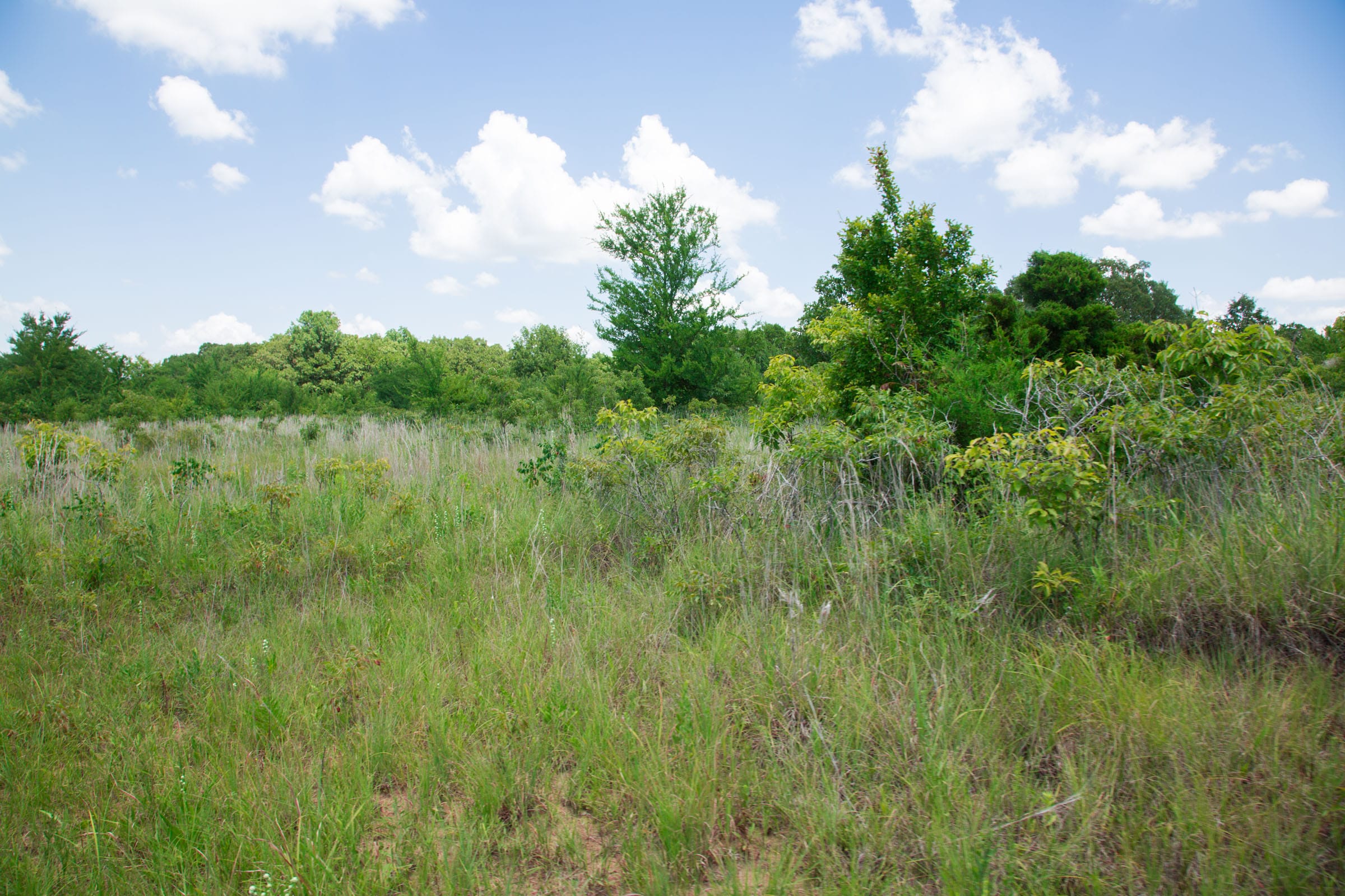 Deep Fork Ranch Tract 25 photo 15