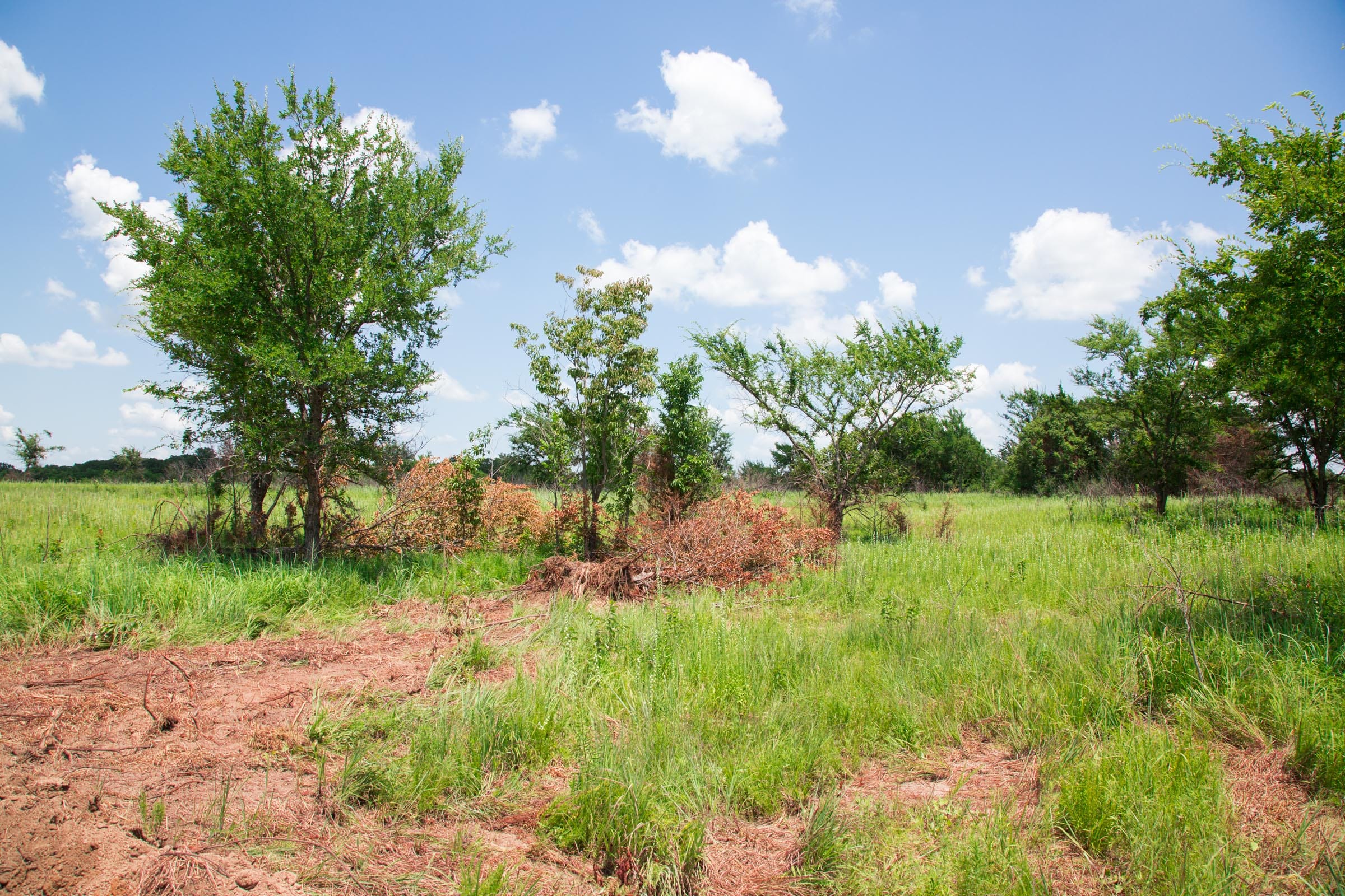Deep Fork Ranch Tract 25 photo 16