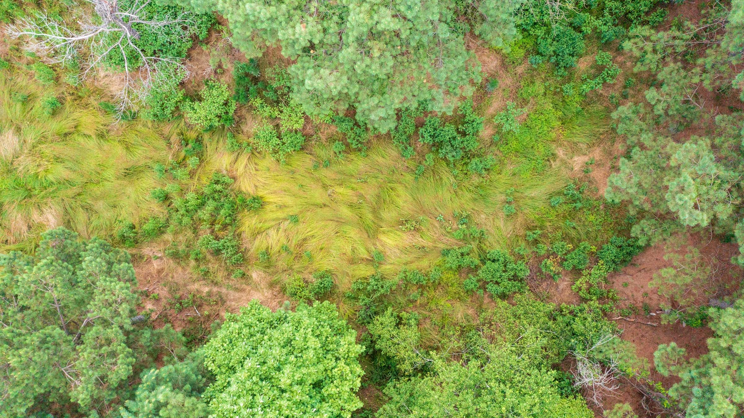Whiskey Ridge Tract 56 photo 1