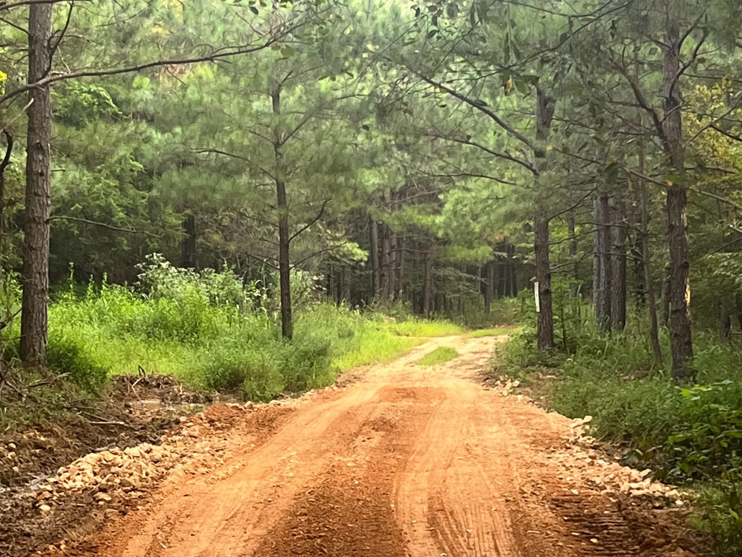 Whiskey Ridge Tract 56 photo 2