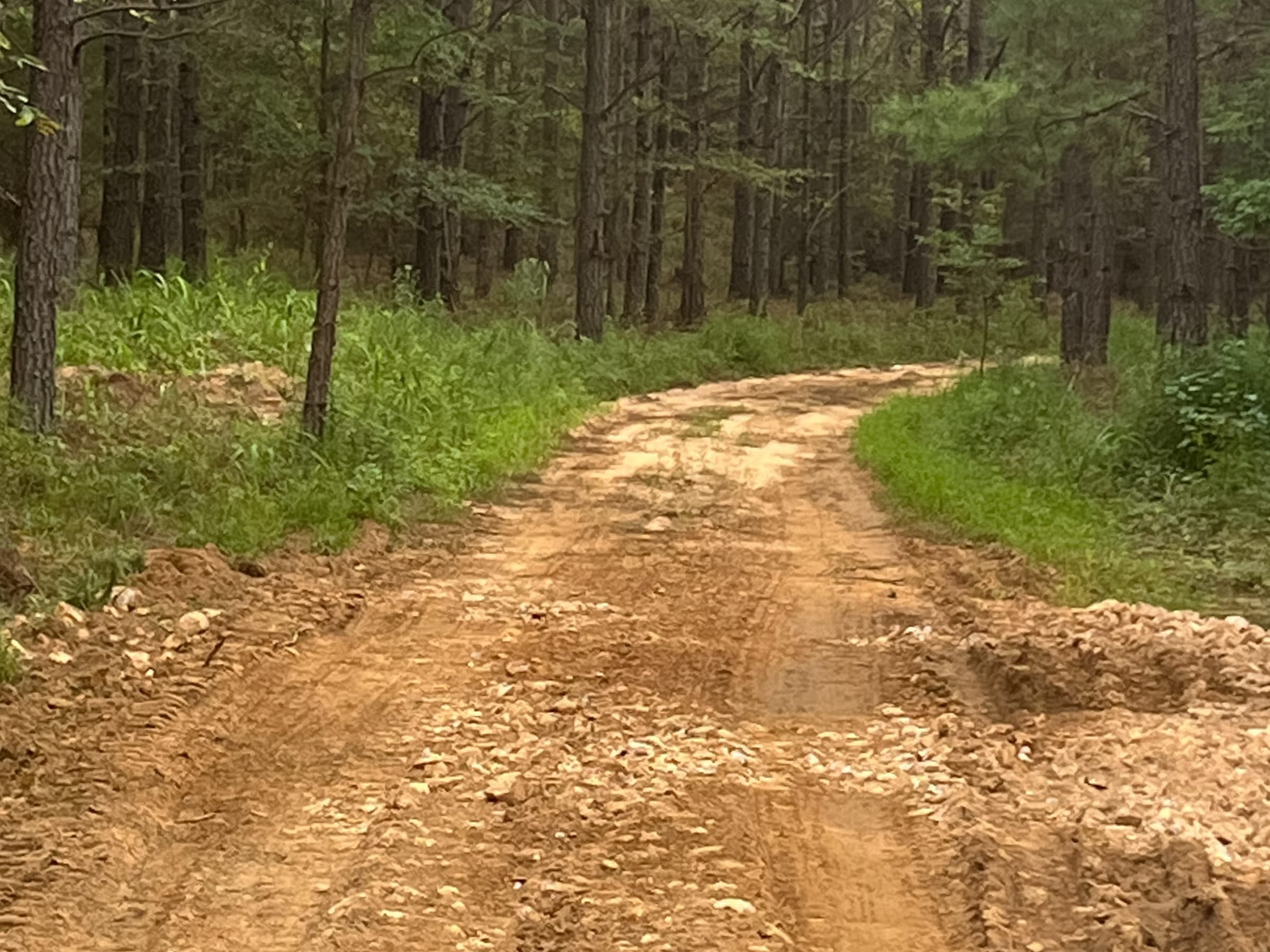 Whiskey Ridge photo 9