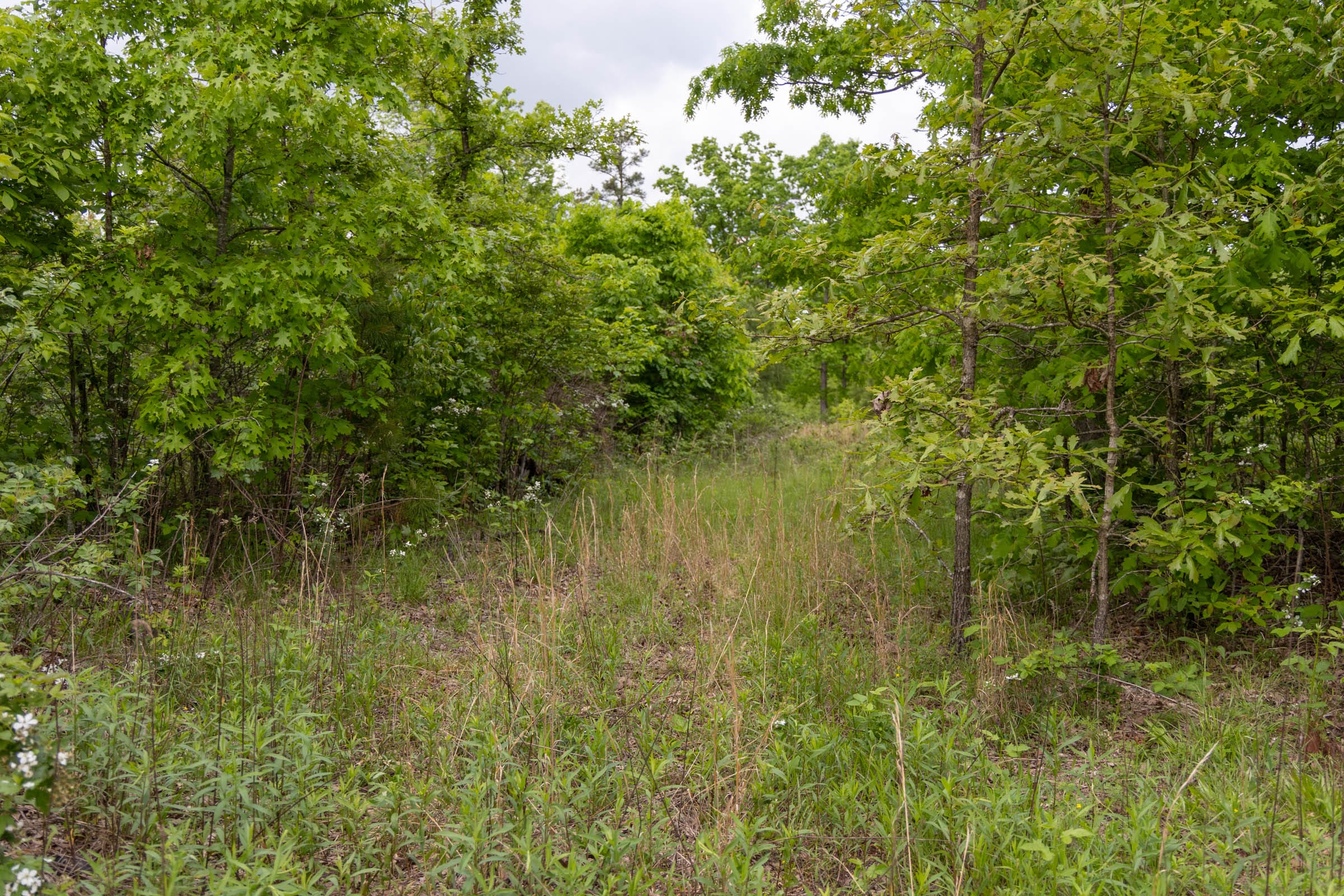 Sleepy Hollow Phase II Tract 74 photo 4