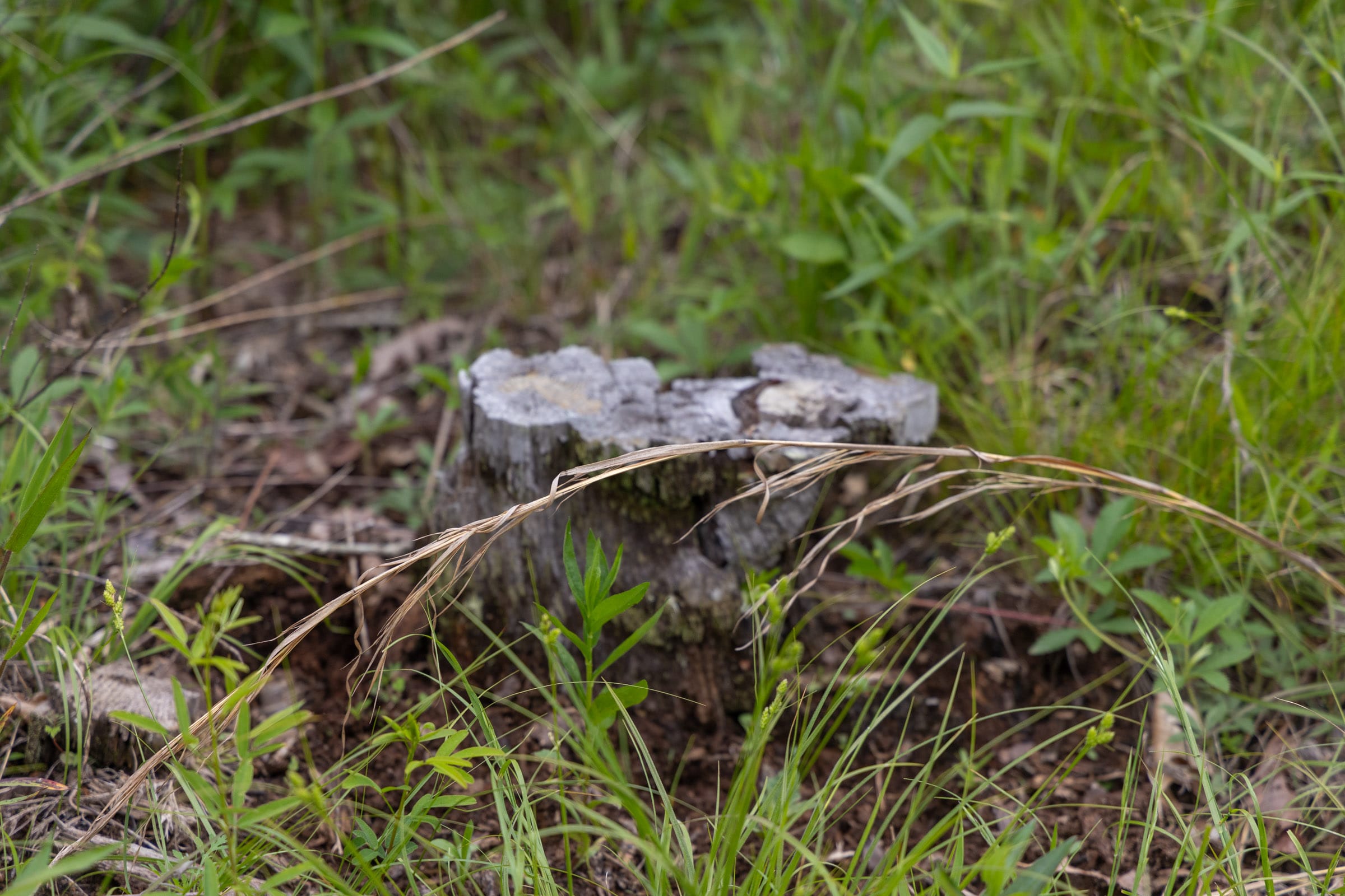 Sleepy Hollow Phase II Tract 74 photo 10